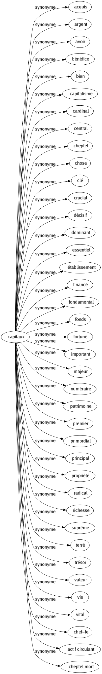 Synonyme de Capitaux : Acquis Argent Avoir Bénéfice Bien Capitalisme Cardinal Central Cheptel Chose Clé Crucial Décisif Dominant Essentiel Établissement Financé Fondamental Fonds Fortuné Important Majeur Numéraire Patrimoine Premier Primordial Principal Propriété Radical Richesse Suprême Terré Trésor Valeur Vie Vital Chef-fe Actif circulant Cheptel mort 