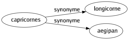 Synonyme de Capricornes : Longicorne Aegipan 