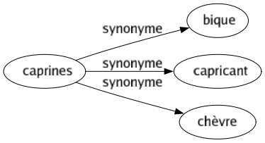 Synonyme de Caprines : Bique Capricant Chèvre 