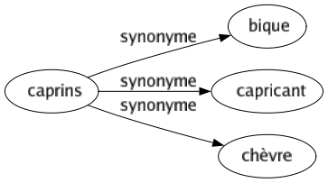 Synonyme de Caprins : Bique Capricant Chèvre 