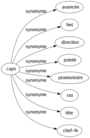 Synonyme de Caps : Avancée Bec Direction Pointé Promontoire Ras Tête Chef-fe 