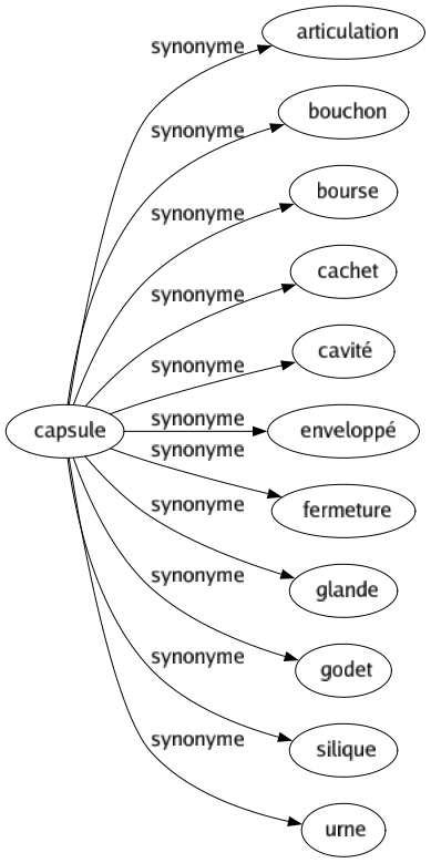 Synonyme de Capsule : Articulation Bouchon Bourse Cachet Cavité Enveloppé Fermeture Glande Godet Silique Urne 