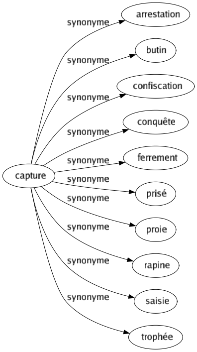 Synonyme de Capture : Arrestation Butin Confiscation Conquête Ferrement Prisé Proie Rapine Saisie Trophée 