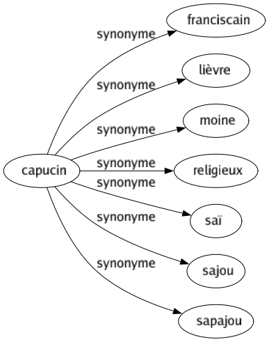 Synonyme de Capucin : Franciscain Lièvre Moine Religieux Saï Sajou Sapajou 