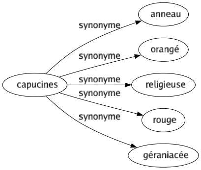 Synonyme de Capucines : Anneau Orangé Religieuse Rouge Géraniacée 