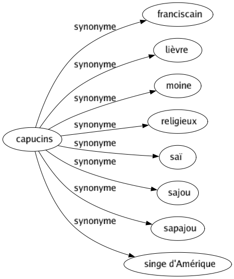 Synonyme de Capucins : Franciscain Lièvre Moine Religieux Saï Sajou Sapajou Singe d'amérique 