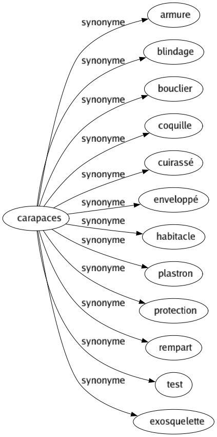 Synonyme de Carapaces : Armure Blindage Bouclier Coquille Cuirassé Enveloppé Habitacle Plastron Protection Rempart Test Exosquelette 