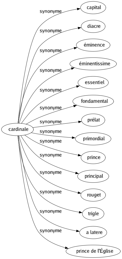 Synonyme de Cardinale : Capital Diacre Éminence Éminentissime Essentiel Fondamental Prélat Primordial Prince Principal Rouget Trigle A latere Prince de l'église 