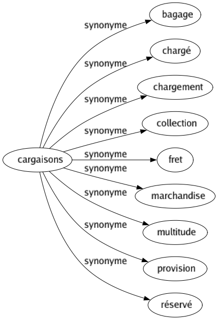 Synonyme de Cargaisons : Bagage Chargé Chargement Collection Fret Marchandise Multitude Provision Réservé 