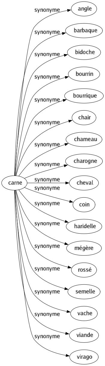 Synonyme de Carne : Angle Barbaque Bidoche Bourrin Bourrique Chair Chameau Charogne Cheval Coin Haridelle Mégère Rossé Semelle Vache Viande Virago 