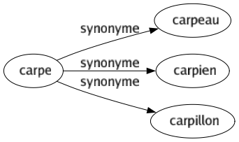 Synonyme de Carpe : Carpeau Carpien Carpillon 