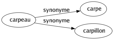 Synonyme de Carpeau : Carpe Carpillon 