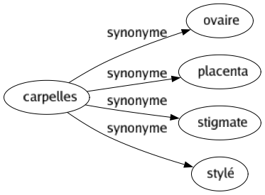 Synonyme de Carpelles : Ovaire Placenta Stigmate Stylé 