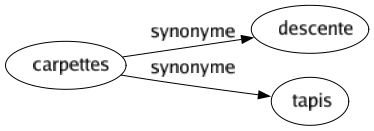 Synonyme de Carpettes : Descente Tapis 