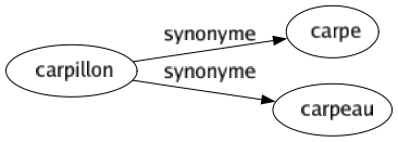 Synonyme de Carpillon : Carpe Carpeau 