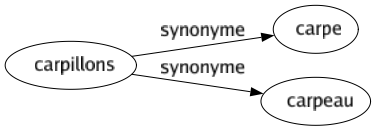 Synonyme de Carpillons : Carpe Carpeau 