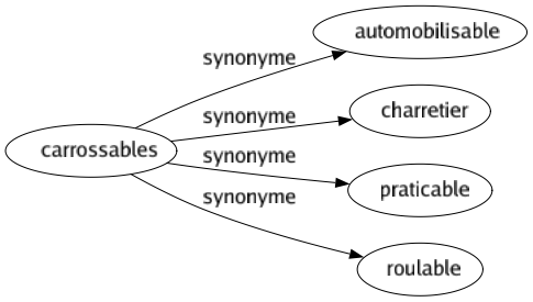 Synonyme de Carrossables : Automobilisable Charretier Praticable Roulable 