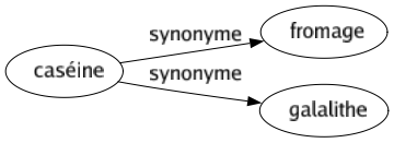 Synonyme de Caséine : Fromage Galalithe 