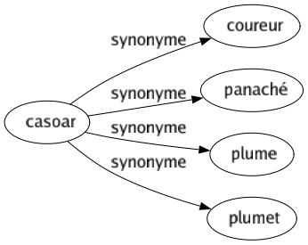 Synonyme de Casoar : Coureur Panaché Plume Plumet 