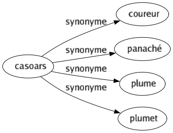 Synonyme de Casoars : Coureur Panaché Plume Plumet 