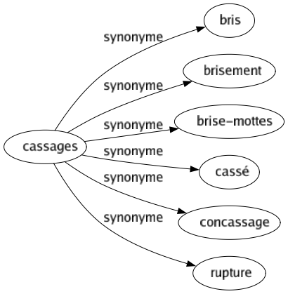 Synonyme de Cassages : Bris Brisement Brise-mottes Cassé Concassage Rupture 