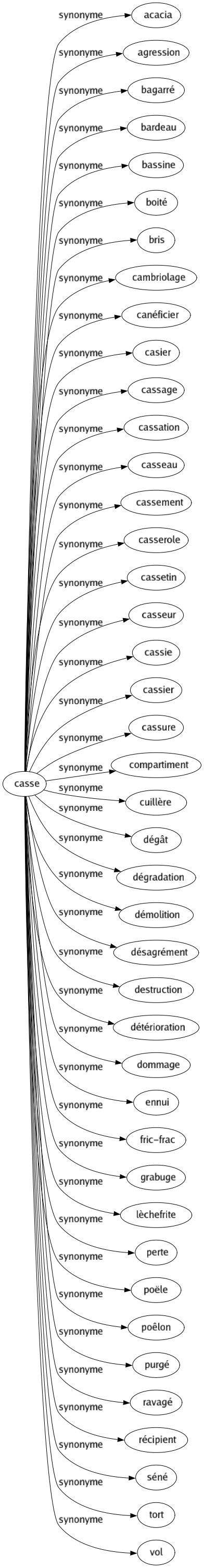 Synonyme de Casse : Acacia Agression Bagarré Bardeau Bassine Boité Bris Cambriolage Canéficier Casier Cassage Cassation Casseau Cassement Casserole Cassetin Casseur Cassie Cassier Cassure Compartiment Cuillère Dégât Dégradation Démolition Désagrément Destruction Détérioration Dommage Ennui Fric-frac Grabuge Lèchefrite Perte Poële Poêlon Purgé Ravagé Récipient Séné Tort Vol 