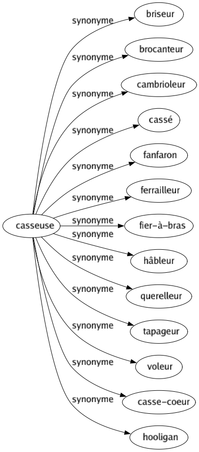 Synonyme de Casseuse : Briseur Brocanteur Cambrioleur Cassé Fanfaron Ferrailleur Fier-à-bras Hâbleur Querelleur Tapageur Voleur Casse-coeur Hooligan 