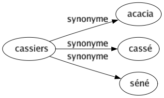 Synonyme de Cassiers : Acacia Cassé Séné 