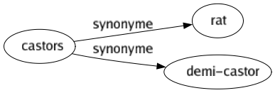 Synonyme de Castors : Rat Demi-castor 