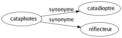 Synonyme de Cataphotes : Catadioptre Réflecteur 