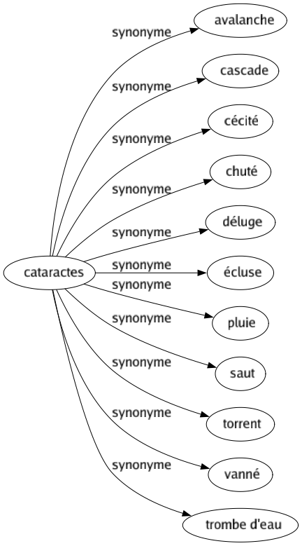 Synonyme de Cataractes : Avalanche Cascade Cécité Chuté Déluge Écluse Pluie Saut Torrent Vanné Trombe d'eau 