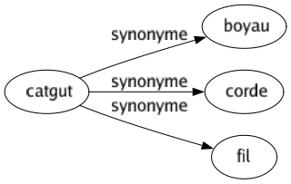 Synonyme de Catgut : Boyau Corde Fil 