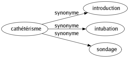 Synonyme de Cathétérisme : Introduction Intubation Sondage 