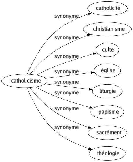 Synonyme de Catholicisme : Catholicité Christianisme Culte Église Liturgie Papisme Sacrément Théologie 