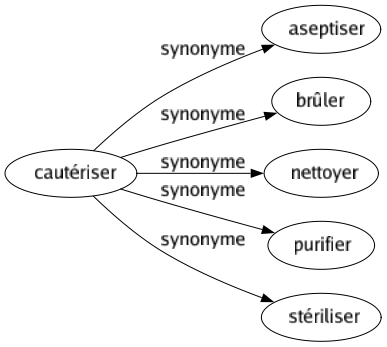 Synonyme de Cautériser : Aseptiser Brûler Nettoyer Purifier Stériliser 