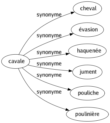 Synonyme de Cavale : Cheval Évasion Haquenée Jument Pouliche Poulinière 