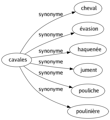 Synonyme de Cavales : Cheval Évasion Haquenée Jument Pouliche Poulinière 