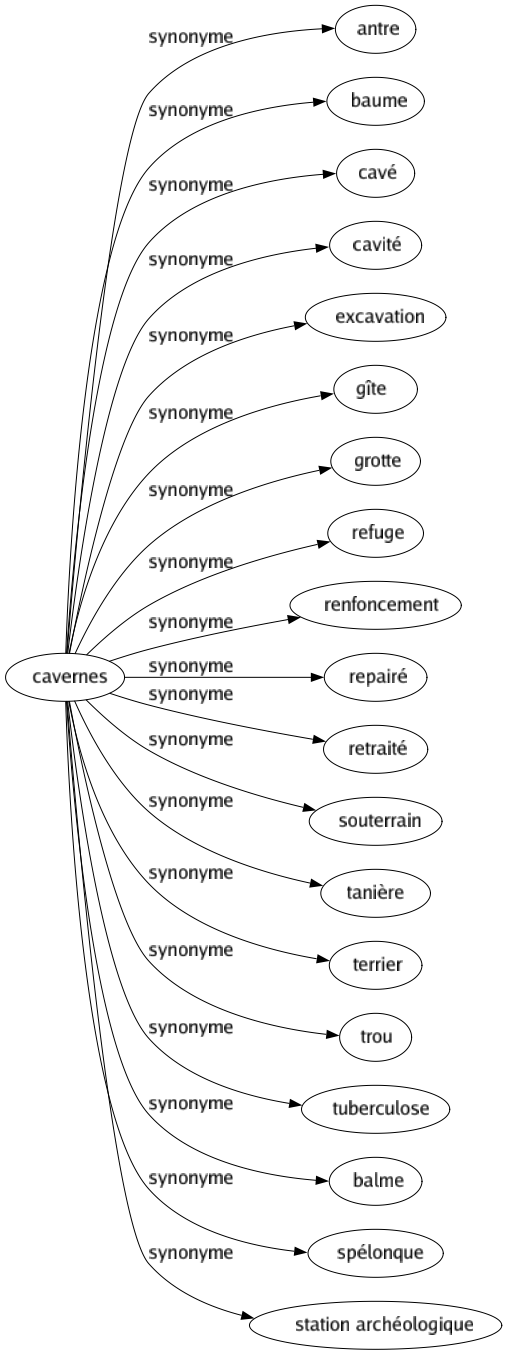 Synonyme de Cavernes : Antre Baume Cavé Cavité Excavation Gîte Grotte Refuge Renfoncement Repairé Retraité Souterrain Tanière Terrier Trou Tuberculose Balme Spélonque Station archéologique 