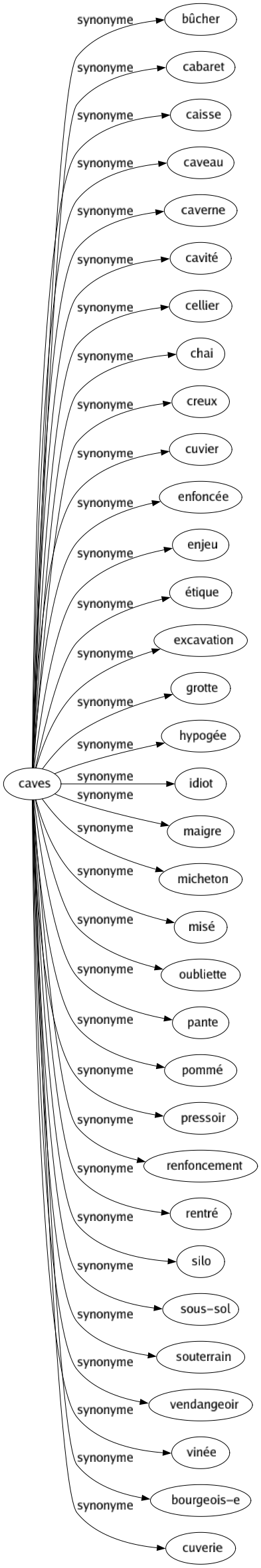 Synonyme de Caves : Bûcher Cabaret Caisse Caveau Caverne Cavité Cellier Chai Creux Cuvier Enfoncée Enjeu Étique Excavation Grotte Hypogée Idiot Maigre Micheton Misé Oubliette Pante Pommé Pressoir Renfoncement Rentré Silo Sous-sol Souterrain Vendangeoir Vinée Bourgeois-e Cuverie 