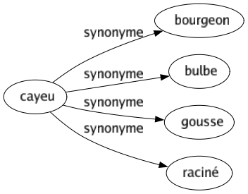 Synonyme de Cayeu : Bourgeon Bulbe Gousse Raciné 