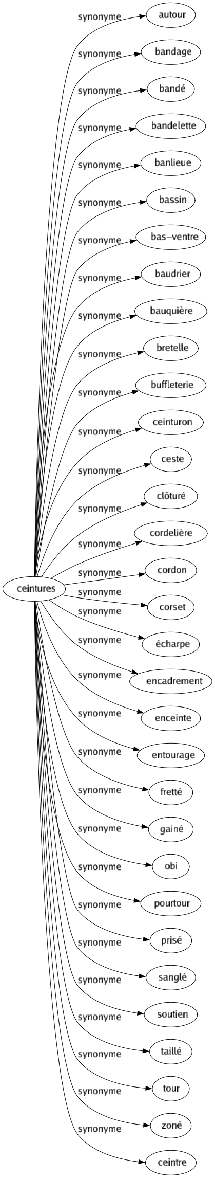 Synonyme de Ceintures : Autour Bandage Bandé Bandelette Banlieue Bassin Bas-ventre Baudrier Bauquière Bretelle Buffleterie Ceinturon Ceste Clôturé Cordelière Cordon Corset Écharpe Encadrement Enceinte Entourage Fretté Gainé Obi Pourtour Prisé Sanglé Soutien Taillé Tour Zoné Ceintre 