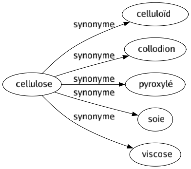 Synonyme de Cellulose : Celluloïd Collodion Pyroxylé Soie Viscose 