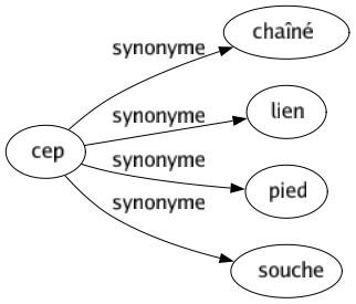 Synonyme de Cep : Chaîné Lien Pied Souche 