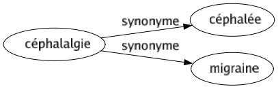 Synonyme de Céphalalgie : Céphalée Migraine 