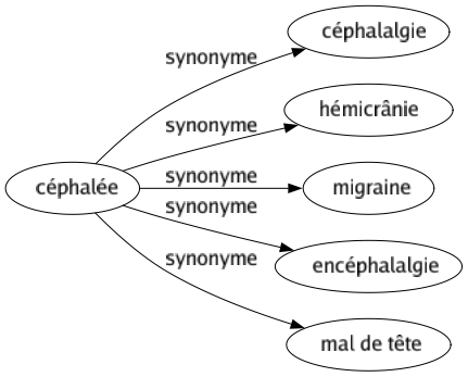 Synonyme de Céphalée : Céphalalgie Hémicrânie Migraine Encéphalalgie Mal de tête 