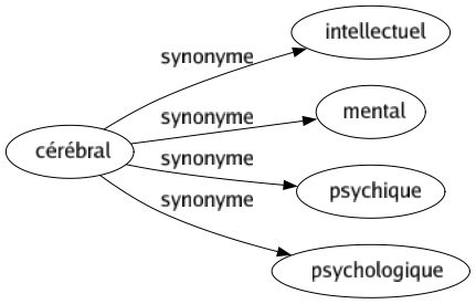 Synonyme de Cérébral : Intellectuel Mental Psychique Psychologique 