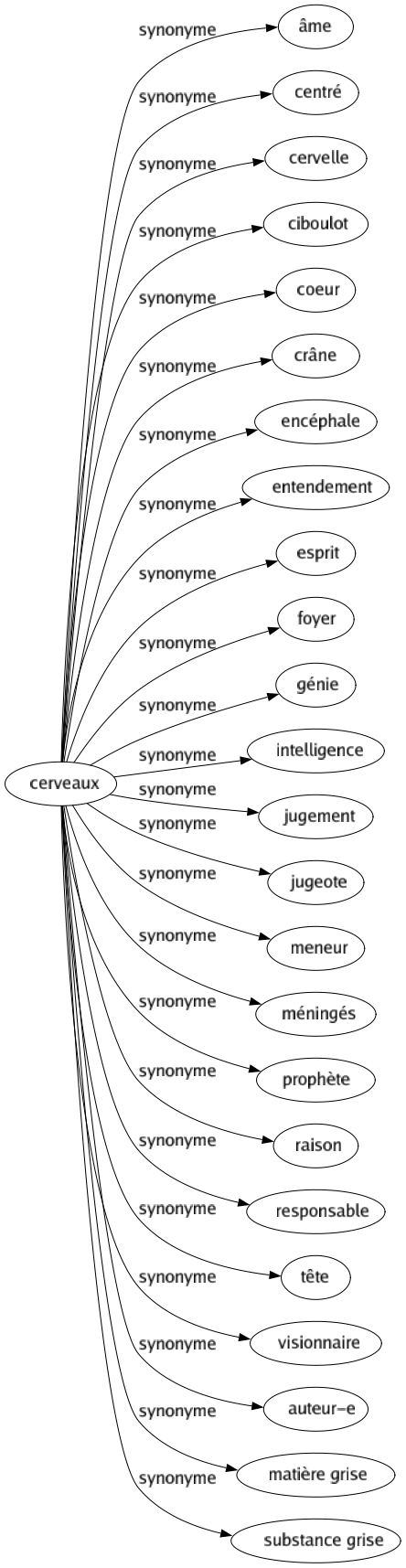 Synonyme de Cerveaux : Âme Centré Cervelle Ciboulot Coeur Crâne Encéphale Entendement Esprit Foyer Génie Intelligence Jugement Jugeote Meneur Méningés Prophète Raison Responsable Tête Visionnaire Auteur-e Matière grise Substance grise 