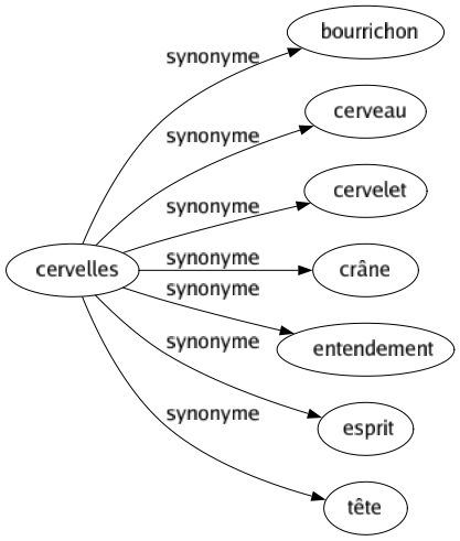 Synonyme de Cervelles : Bourrichon Cerveau Cervelet Crâne Entendement Esprit Tête 