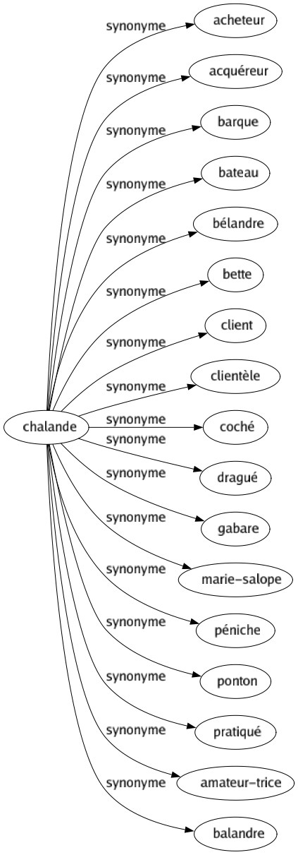 Synonyme de Chalande : Acheteur Acquéreur Barque Bateau Bélandre Bette Client Clientèle Coché Dragué Gabare Marie-salope Péniche Ponton Pratiqué Amateur-trice Balandre 