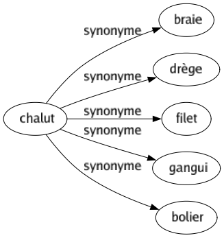 Synonyme de Chalut : Braie Drège Filet Gangui Bolier 